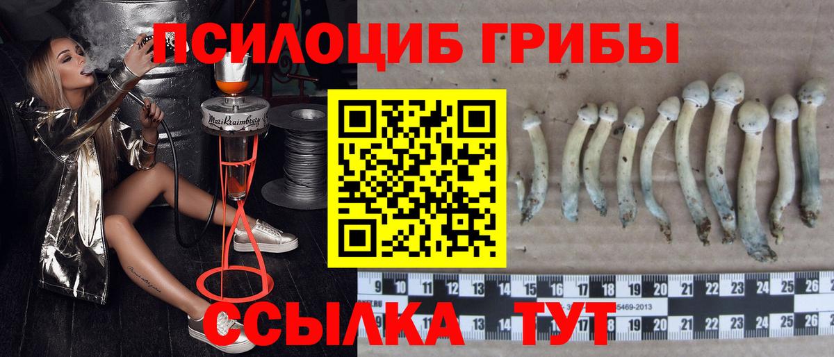 Новотроицк  Галлюциногенные грибы Magic Shrooms  Вход с VPN  Галлюциногенные грибы MAGIC MUSHROOMS 